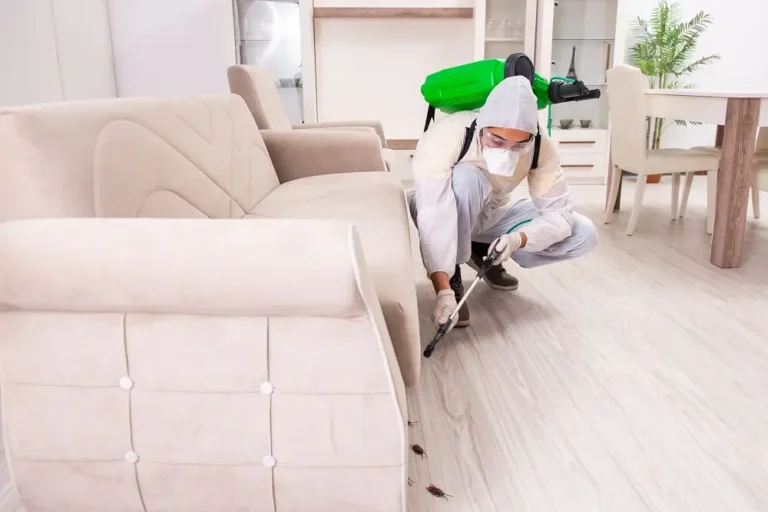 Odpluskwianie Warszawa – skuteczne metody walki z pluskwami w Twoim domu